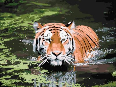 Картина по номерам Тигр в воде